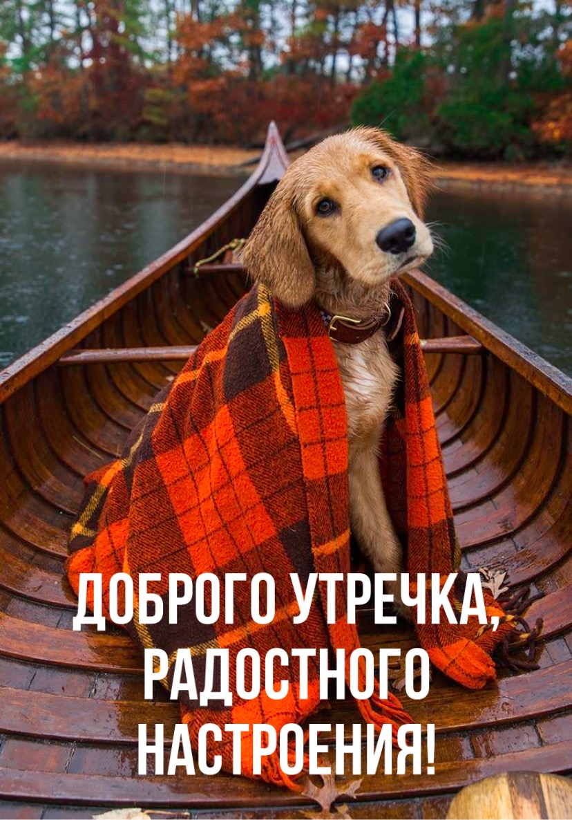 Хостинг картинок yapx.ru