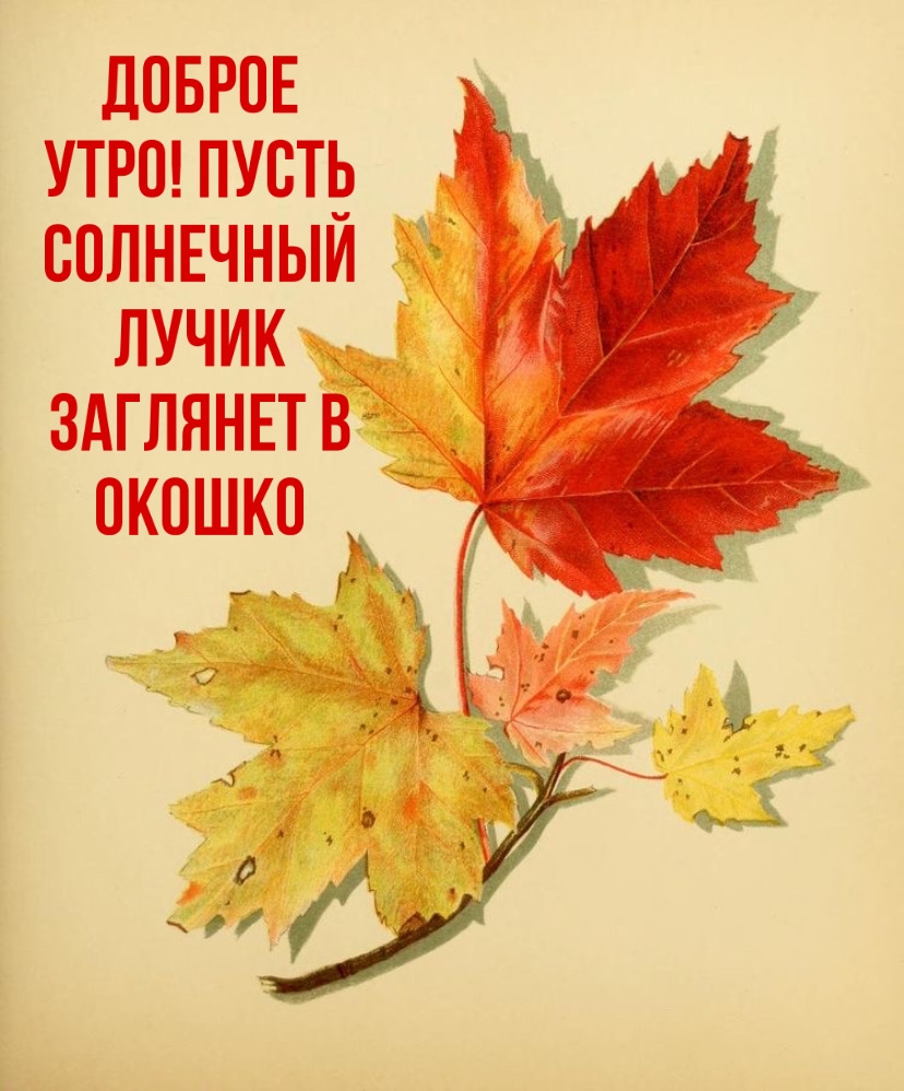 Хостинг картинок yapx.ru