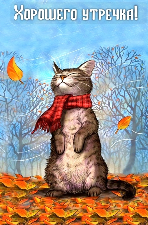 Хостинг картинок yapx.ru