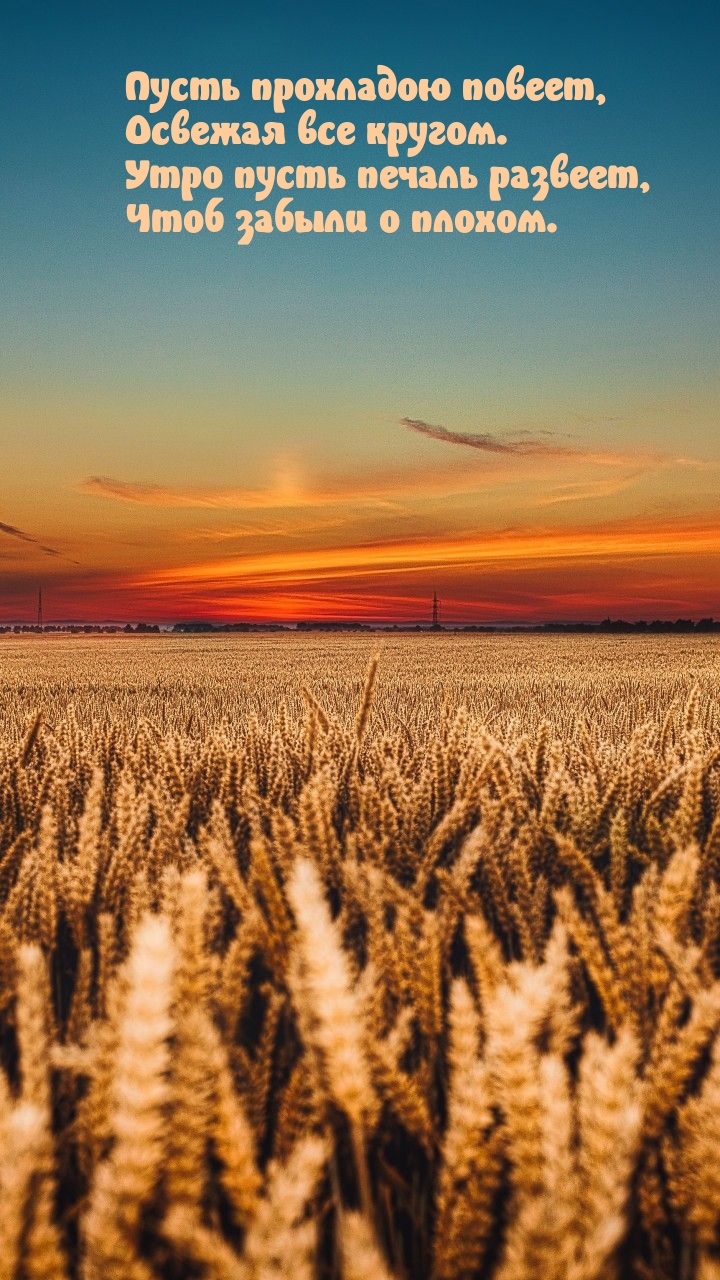 Хостинг картинок yapx.ru