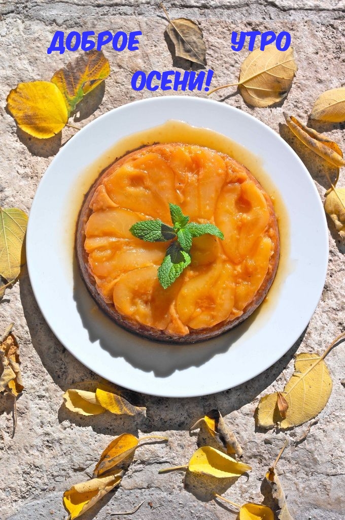 Хостинг картинок yapx.ru