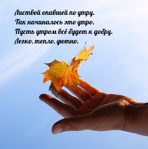 Хостинг картинок yapx.ru