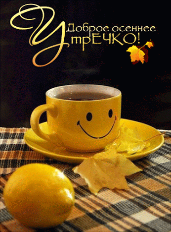 Хостинг картинок yapx.ru