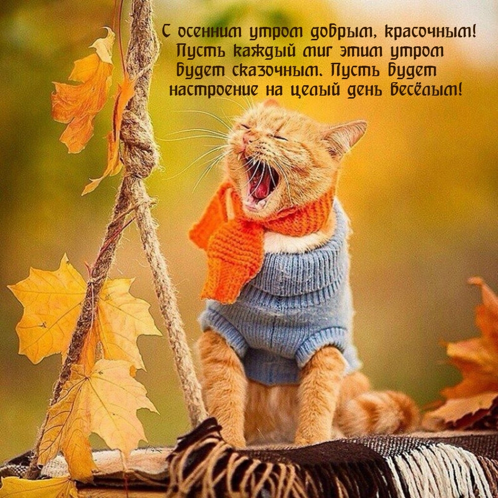 Хостинг картинок yapx.ru