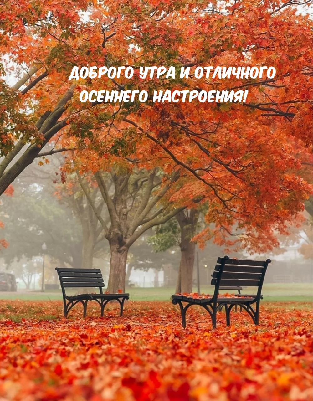 Хостинг картинок yapx.ru