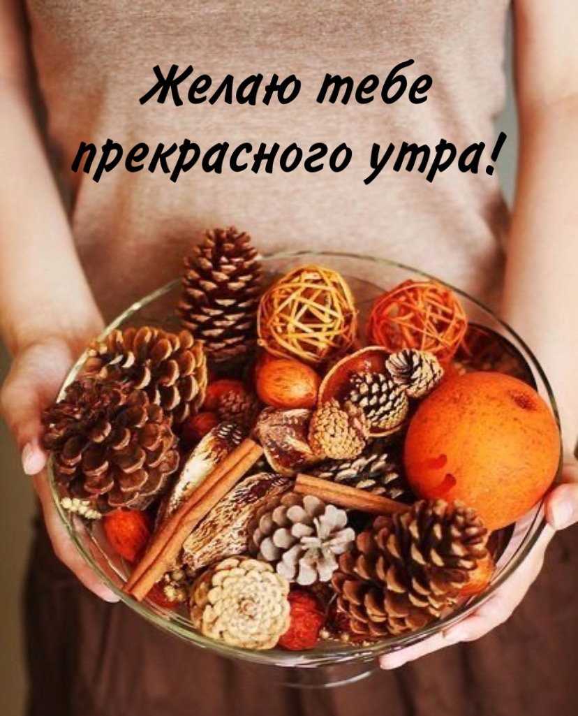 Хостинг картинок yapx.ru