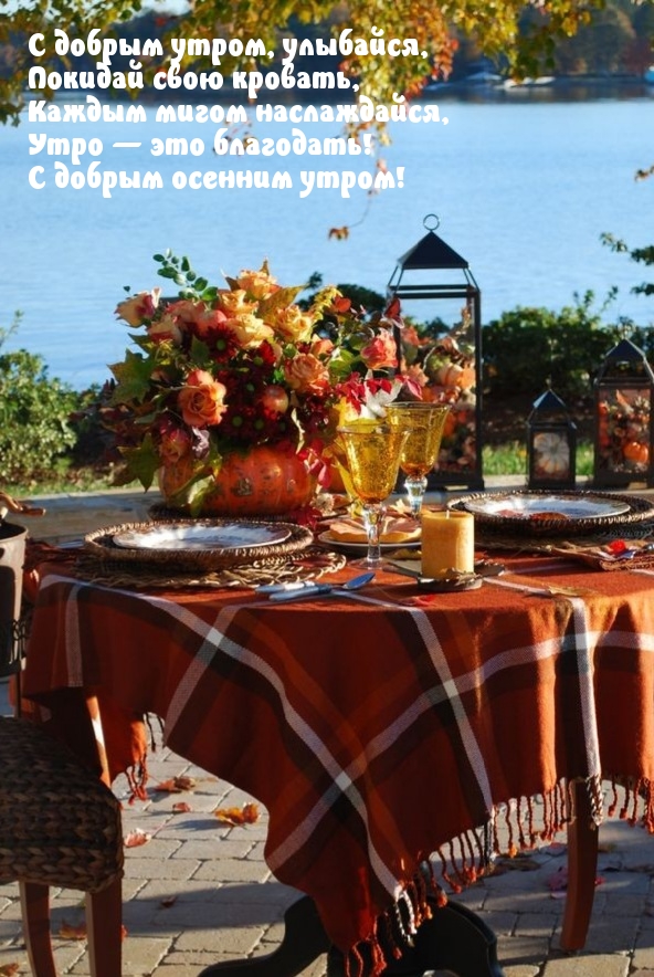 Хостинг картинок yapx.ru