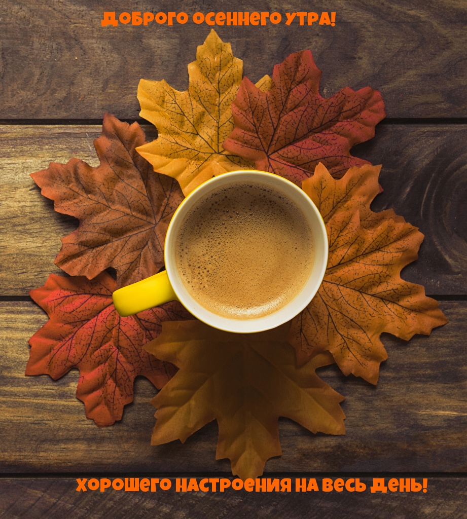 Хостинг картинок yapx.ru