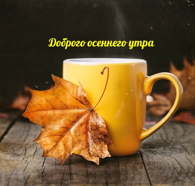 Хостинг картинок yapx.ru