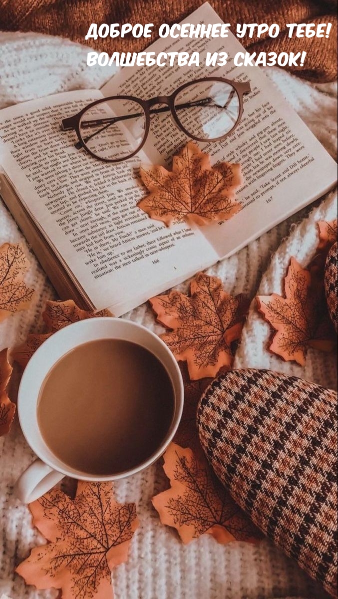 Хостинг картинок yapx.ru