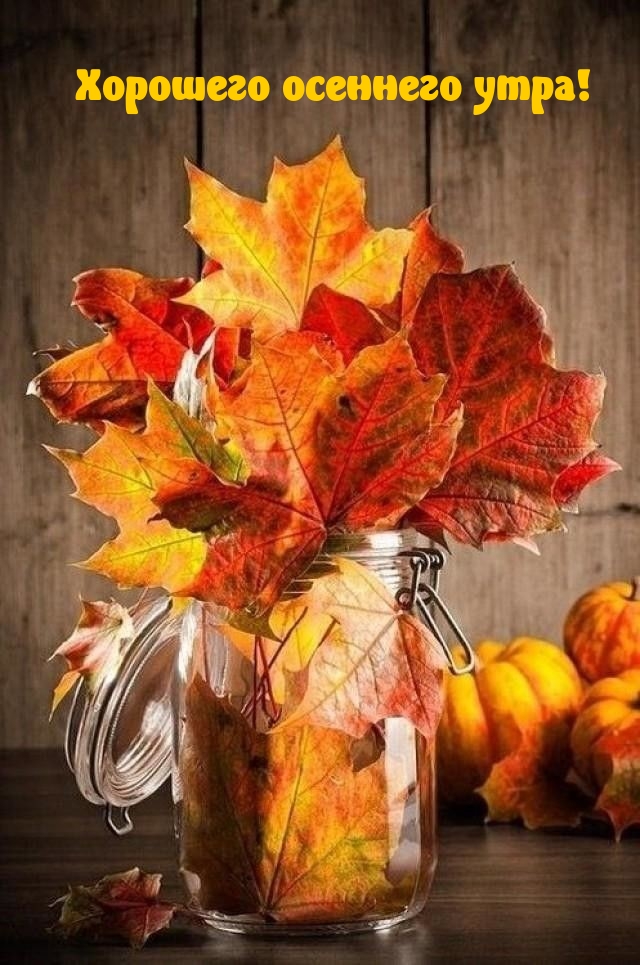 Хостинг картинок yapx.ru