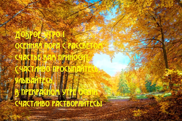 Хостинг картинок yapx.ru