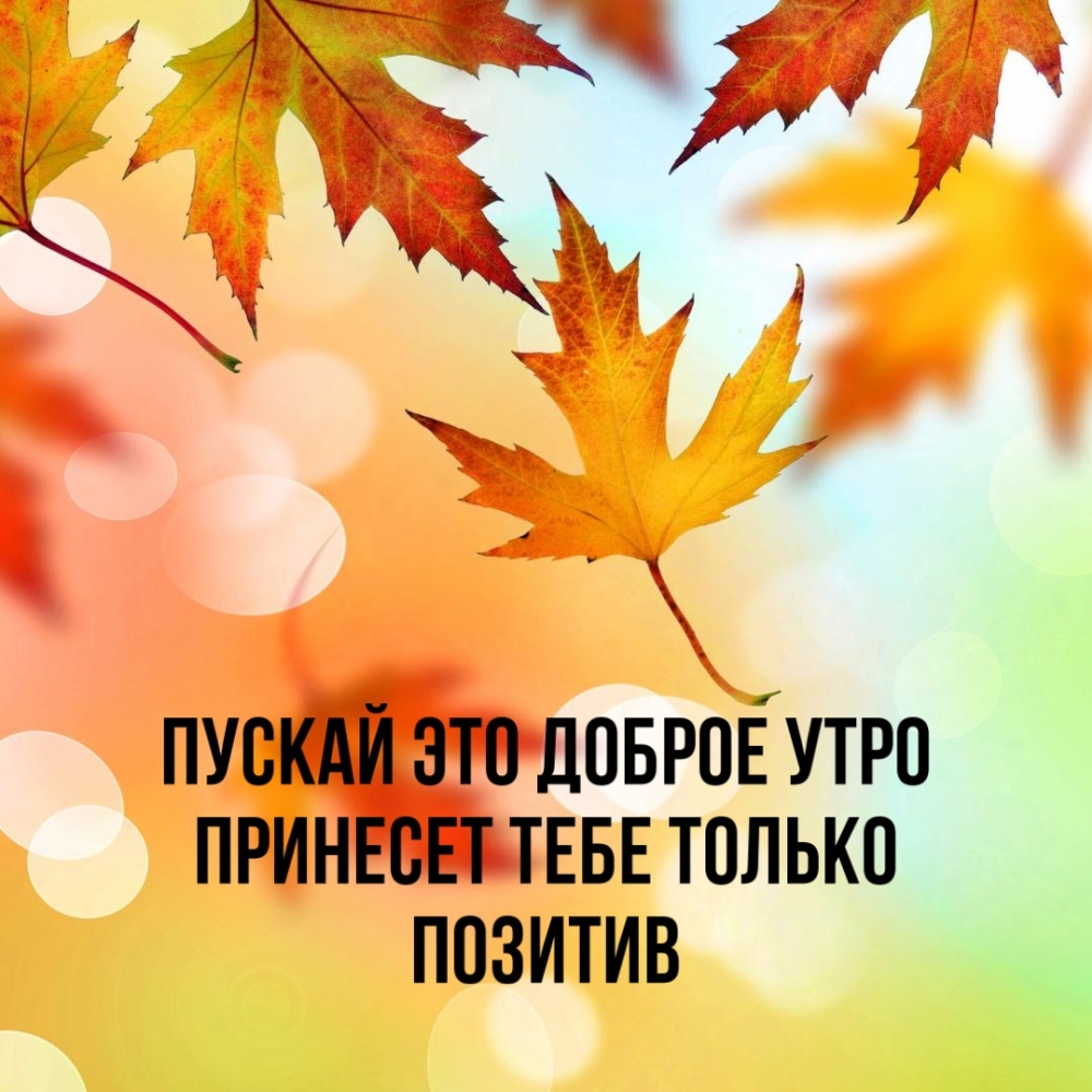 Хостинг картинок yapx.ru