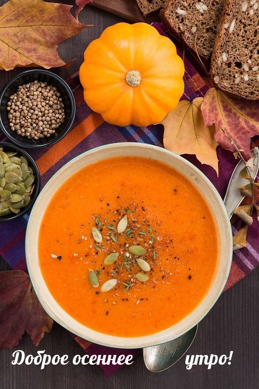 Хостинг картинок yapx.ru