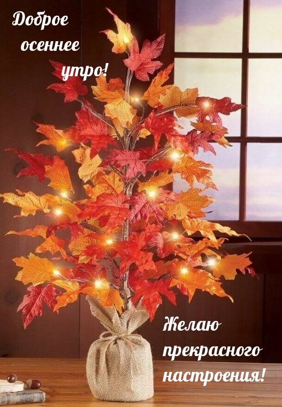 Хостинг картинок yapx.ru