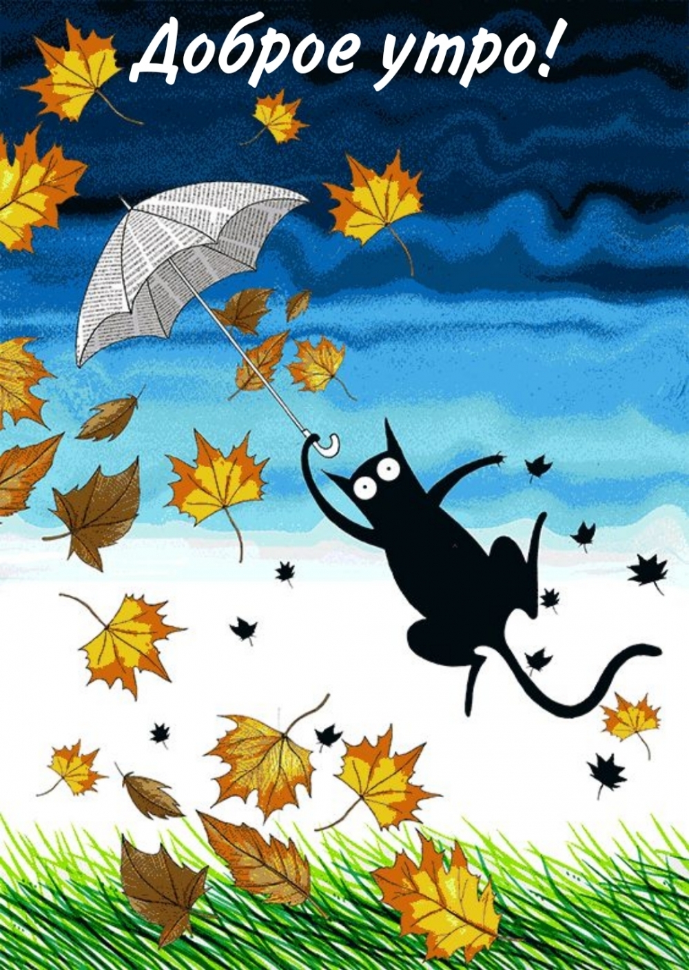 Хостинг картинок yapx.ru