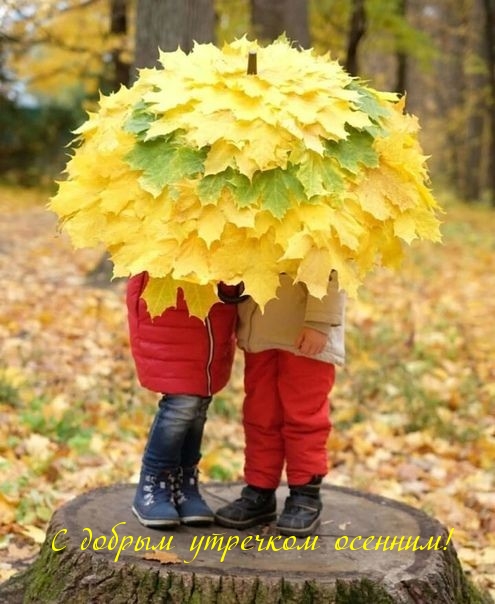 Хостинг картинок yapx.ru