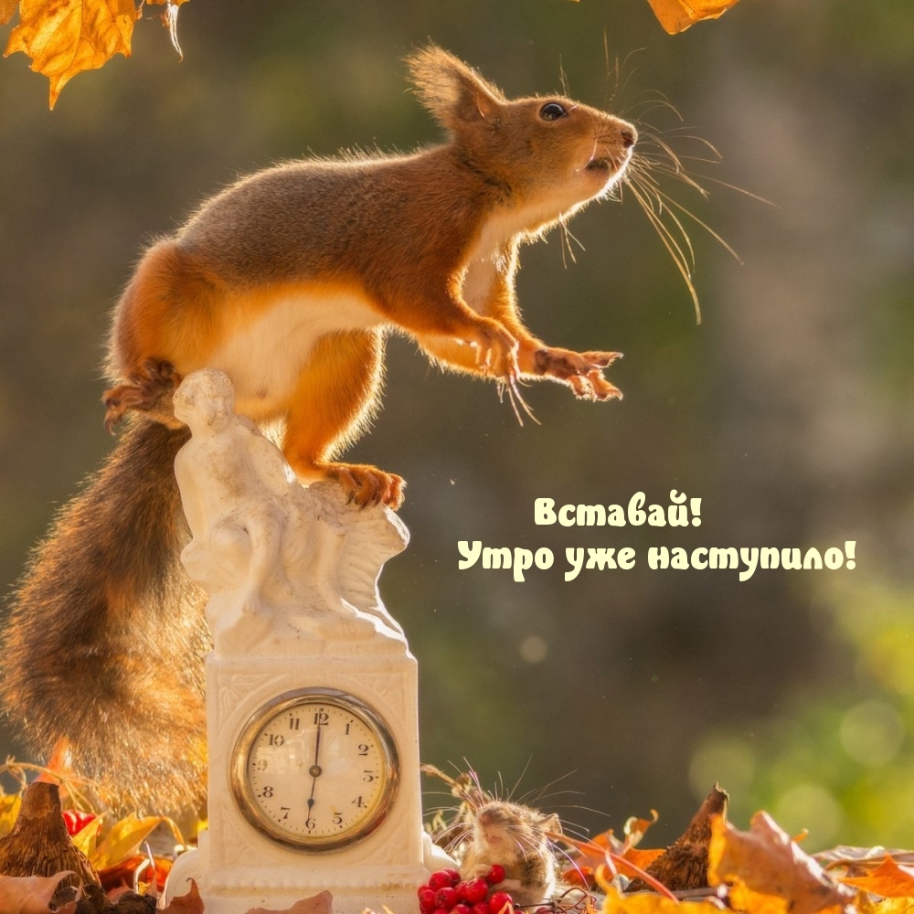 Хостинг картинок yapx.ru