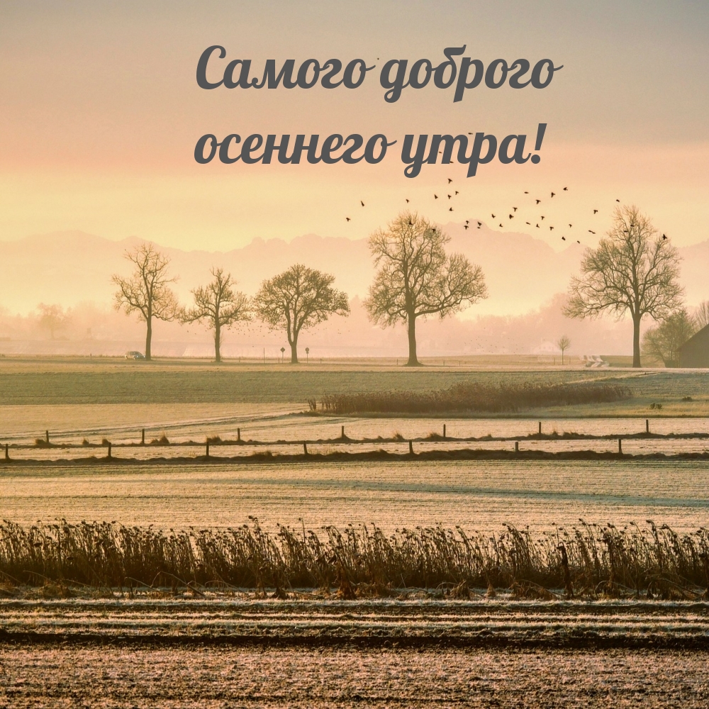 Хостинг картинок yapx.ru