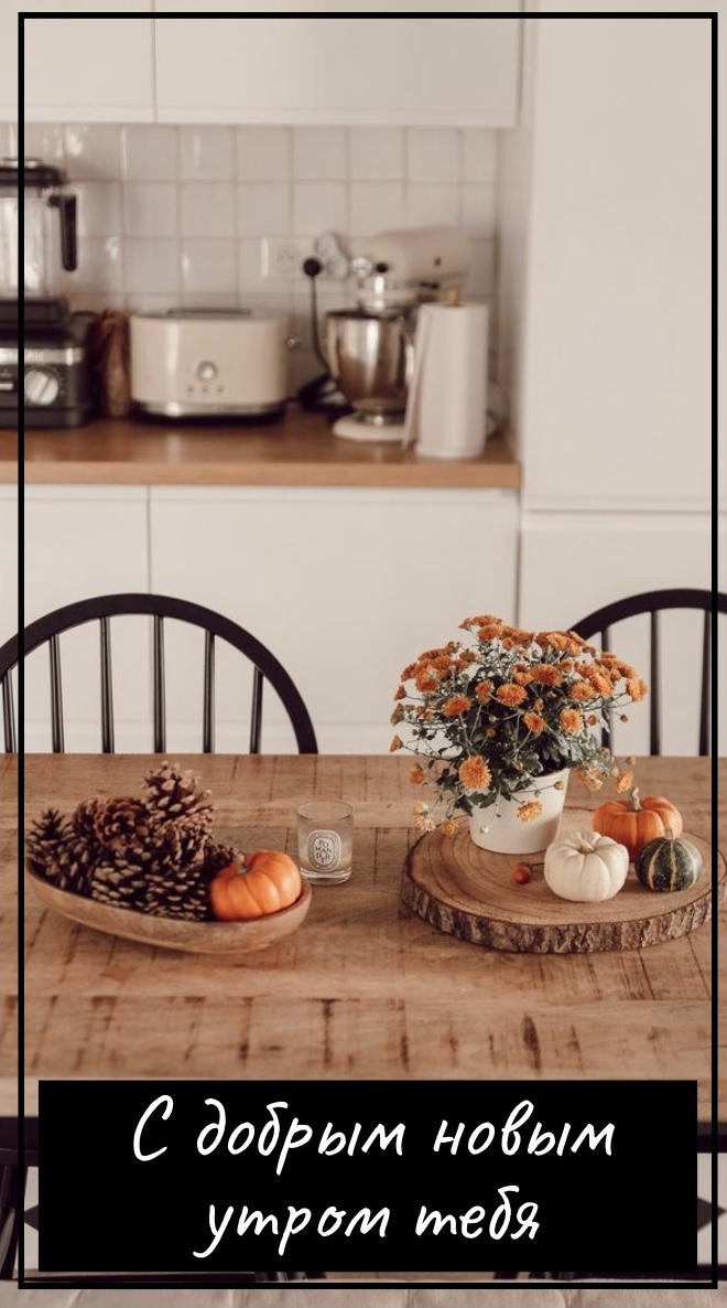 Хостинг картинок yapx.ru