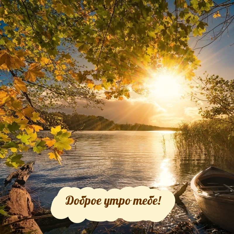 Хостинг картинок yapx.ru