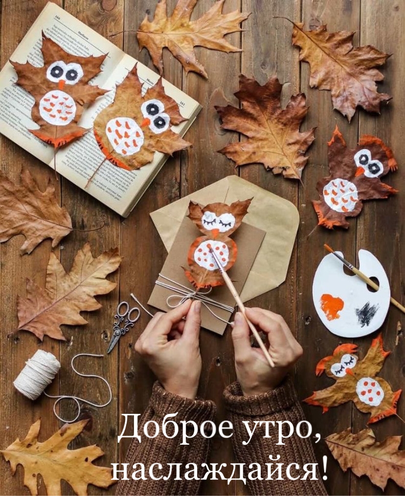 Хостинг картинок yapx.ru