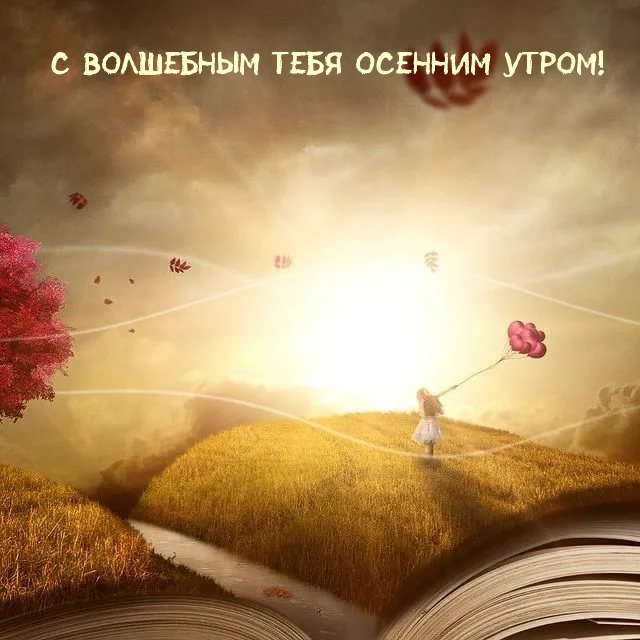 Хостинг картинок yapx.ru