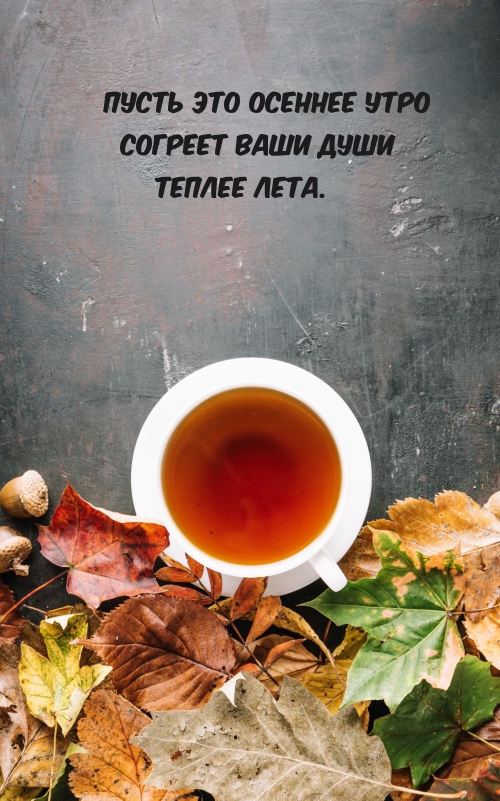 Хостинг картинок yapx.ru