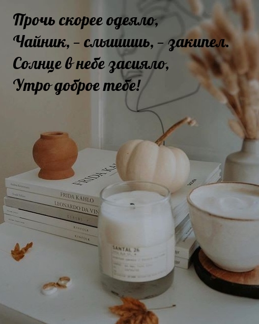 Хостинг картинок yapx.ru