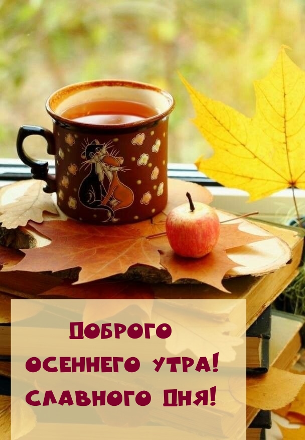 Хостинг картинок yapx.ru