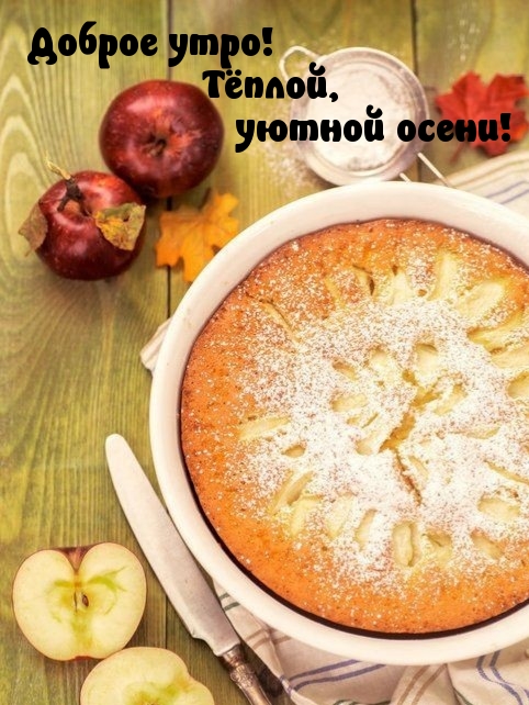 Хостинг картинок yapx.ru