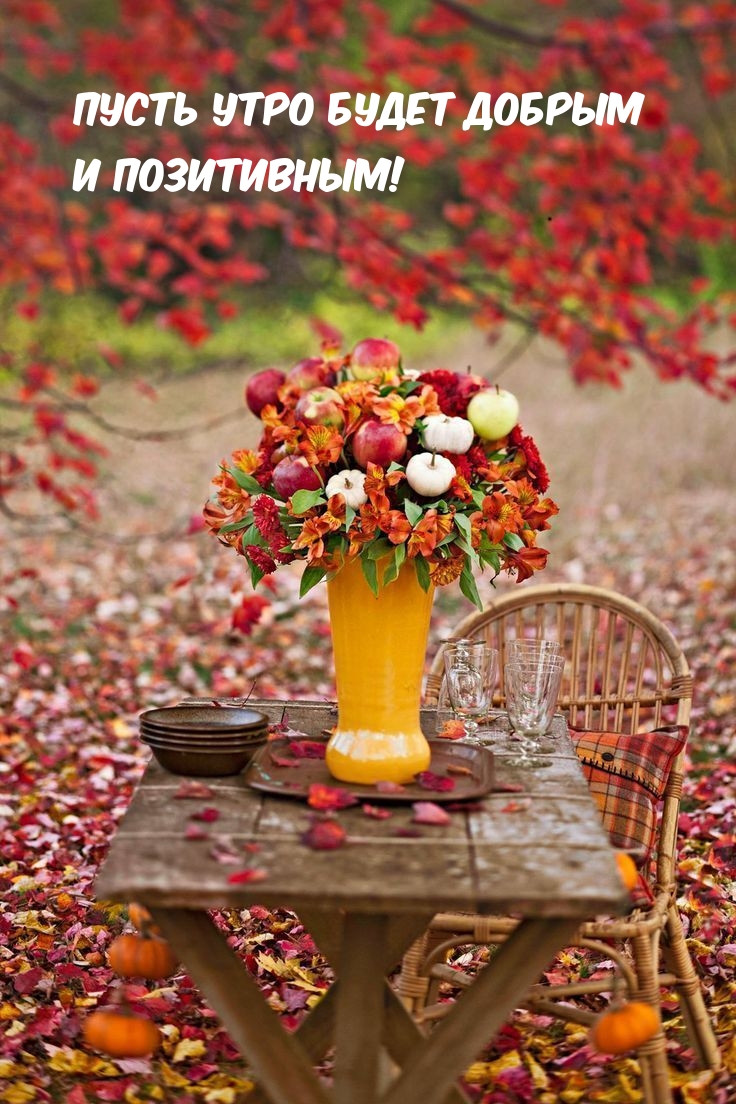 Хостинг картинок yapx.ru