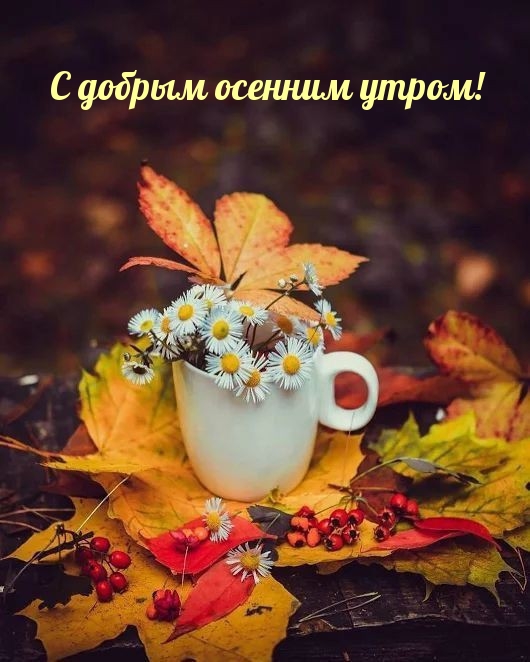 Хостинг картинок yapx.ru