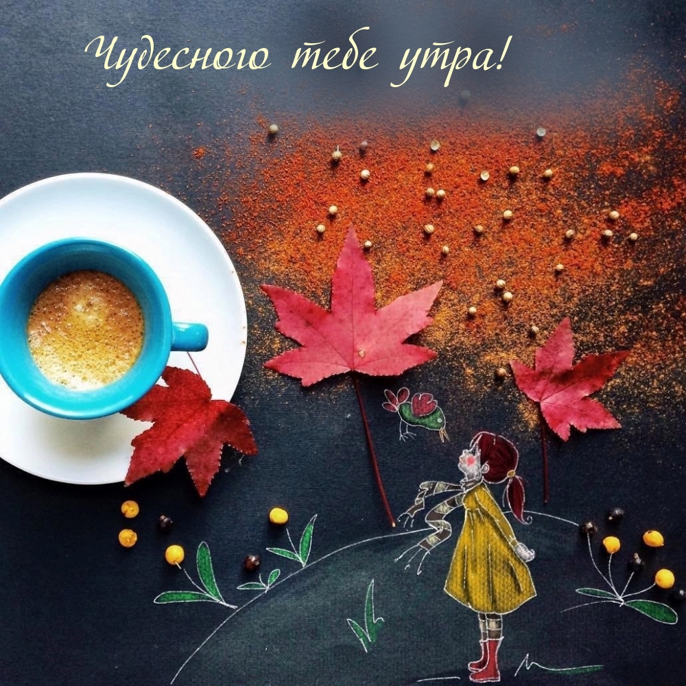 Хостинг картинок yapx.ru