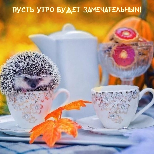 Хостинг картинок yapx.ru