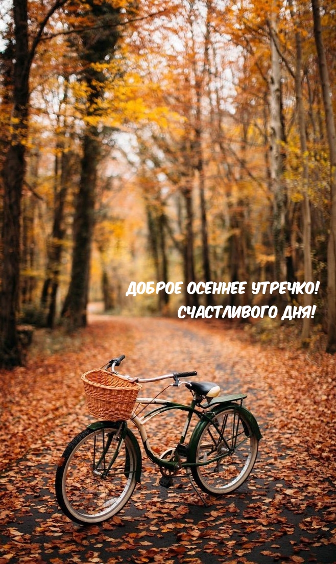 Хостинг картинок yapx.ru