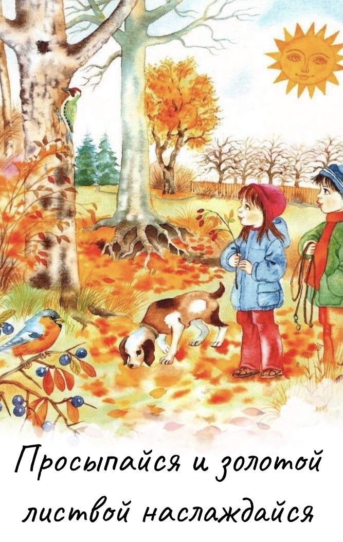 Хостинг картинок yapx.ru