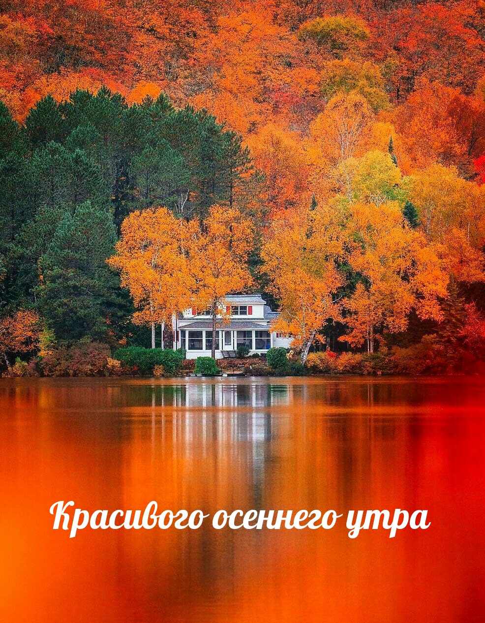 Хостинг картинок yapx.ru