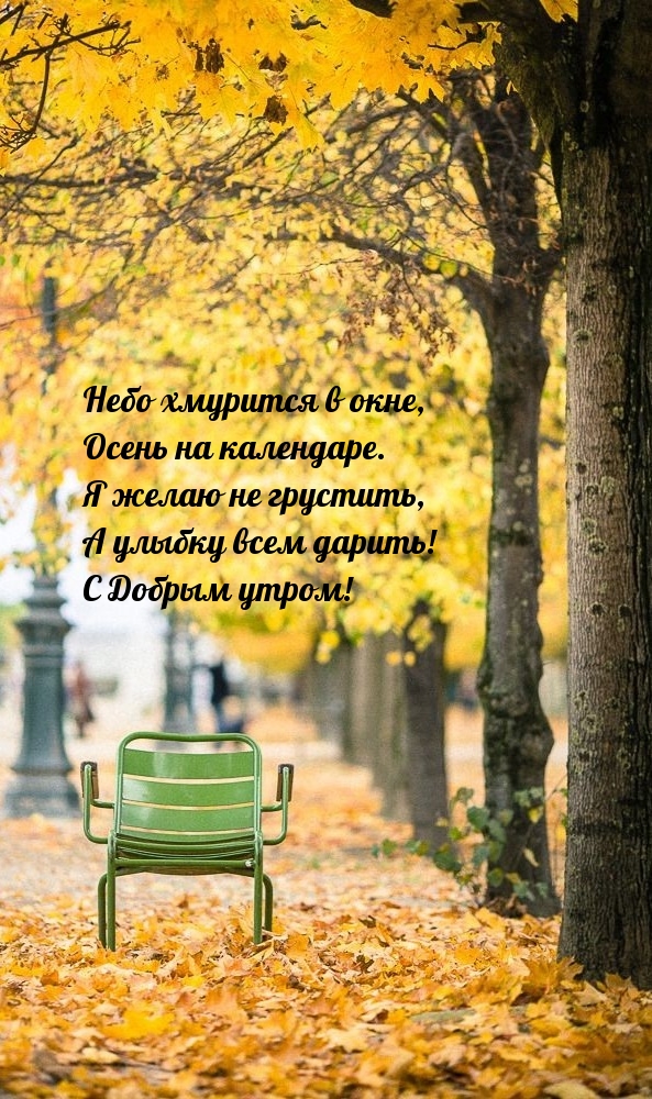 Хостинг картинок yapx.ru