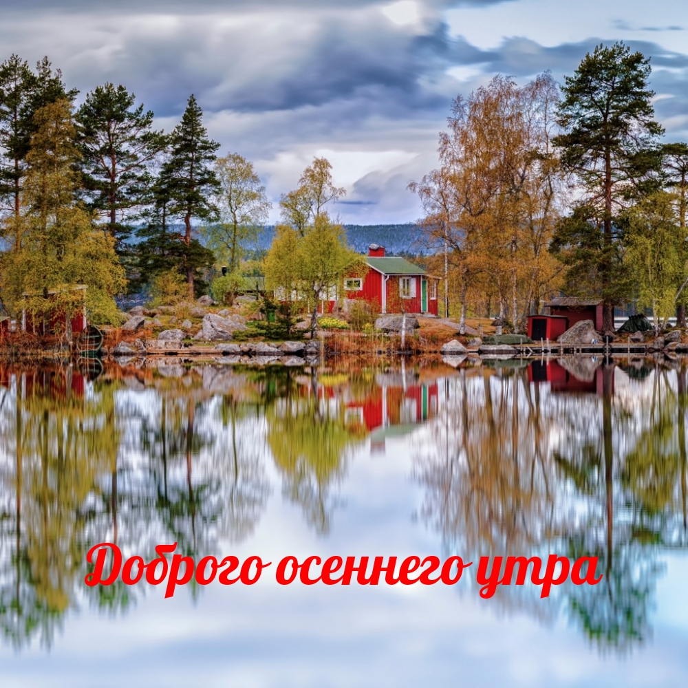 Хостинг картинок yapx.ru