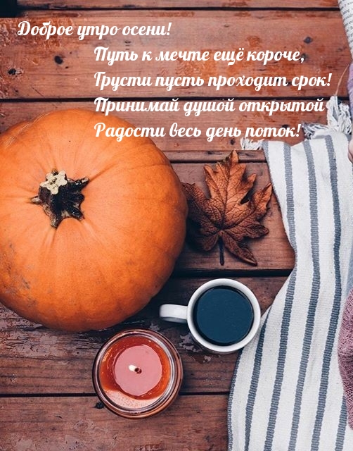 Хостинг картинок yapx.ru