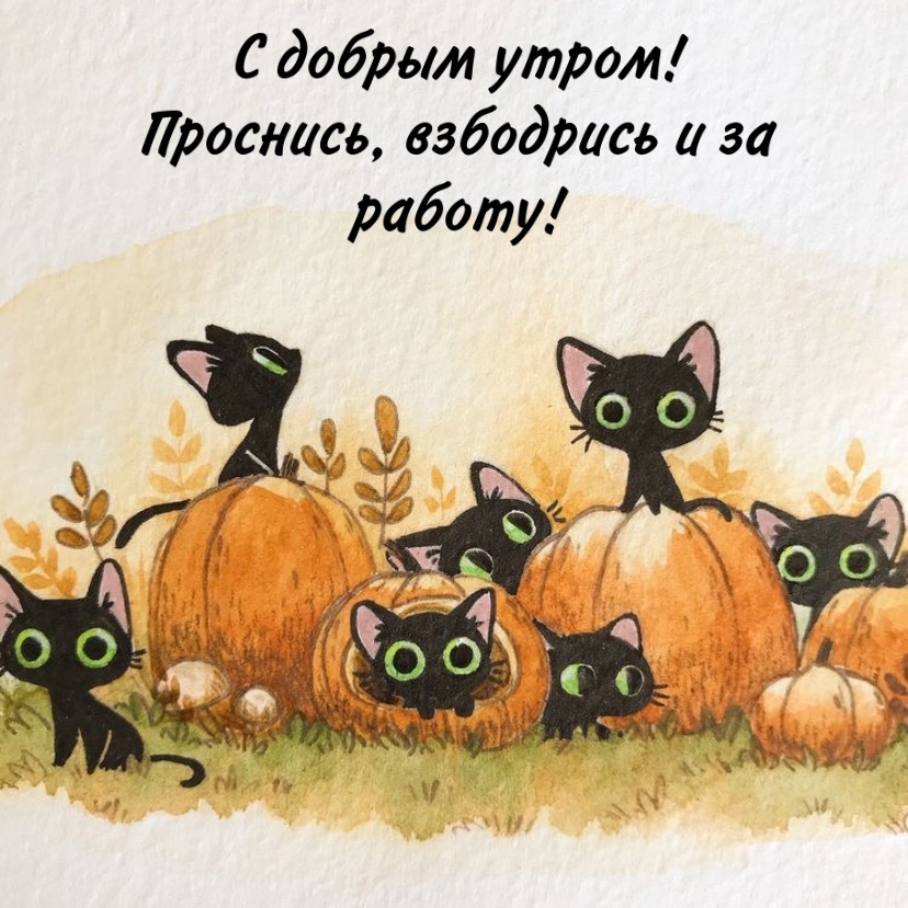 Хостинг картинок yapx.ru