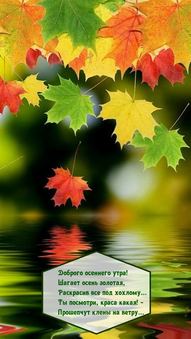 Хостинг картинок yapx.ru