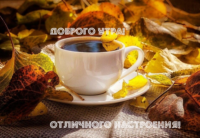 Хостинг картинок yapx.ru