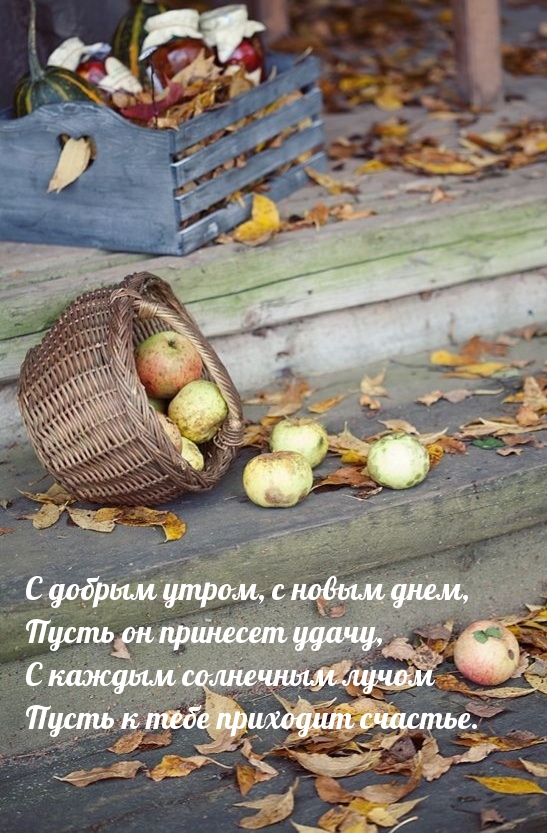 Хостинг картинок yapx.ru