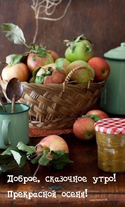 Хостинг картинок yapx.ru