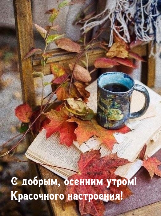 Хостинг картинок yapx.ru