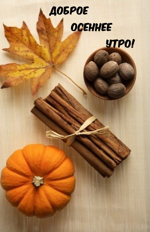 Хостинг картинок yapx.ru