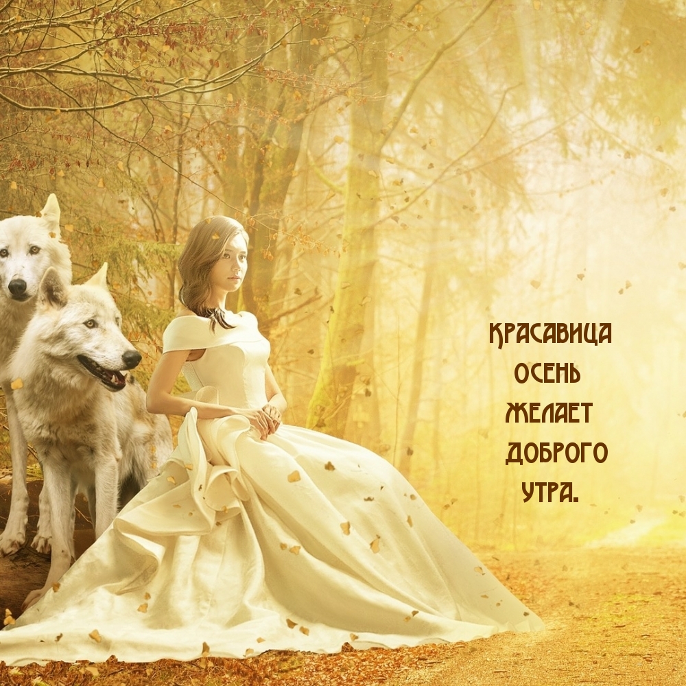 Хостинг картинок yapx.ru