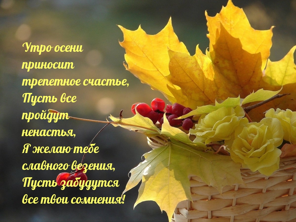 Хостинг картинок yapx.ru